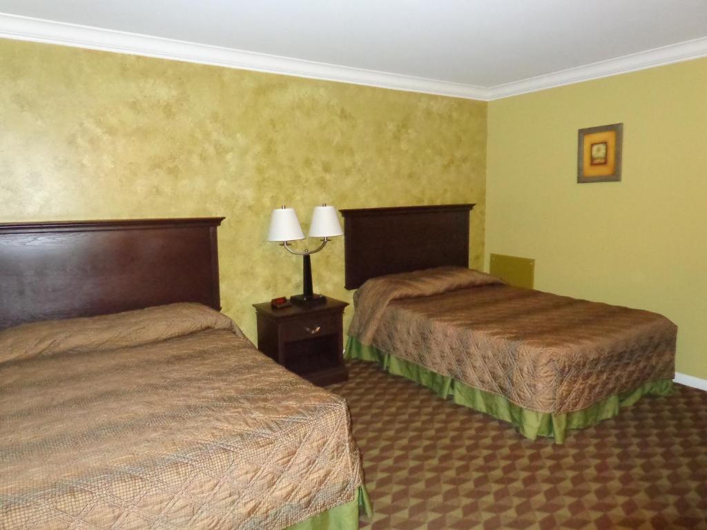 Spartan Motel - Rochester Chambre photo